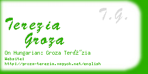 terezia groza business card